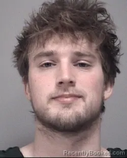 Mugshot of PHILLIP CARLTON WAYER