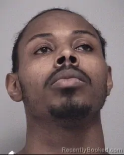 Mugshot of RAVELLE V JOHNSON