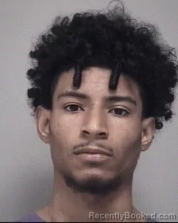 Booking photo from Calhoun County, Michigan