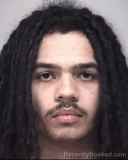 Mugshot of REYNOLD PAUL DUPLESSIS STONE