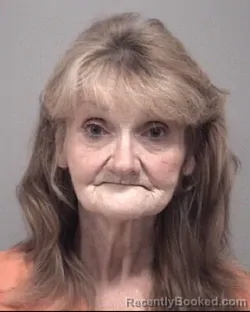 Mugshot of Shelly Kaye Button booked in Calhoun County, Michigan on August 25, 2026