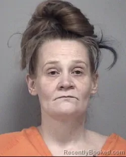 Mugshot of SHEENA LEEANN DUCKHAM
