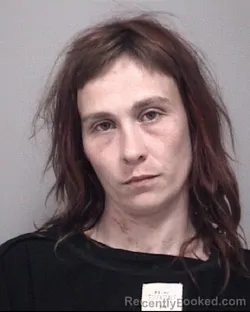 Mugshot of SUMMER LEANNE REESE booked in Calhoun County, Michigan on July 15, 2026