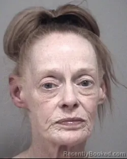 Mugshot of TONI JEAN ALEXANDER