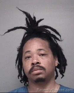 Mugshot of TYRAN LAMONT BURGESS