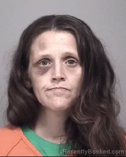 Mugshot of Tosha Marie Freeburn booked in Calhoun County, Michigan on August 20, 2026