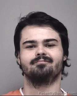 Mugshot of TANNER LEE WATKINS