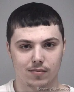 Mugshot of WILLIAM PAUL BROWN booked in Calhoun County, Michigan on March 29, 2026