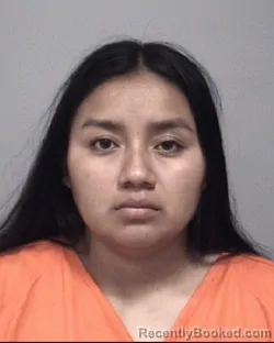 Mugshot of Yesenia Pastor-Garcia booked in Calhoun County, Michigan on August 19, 2026