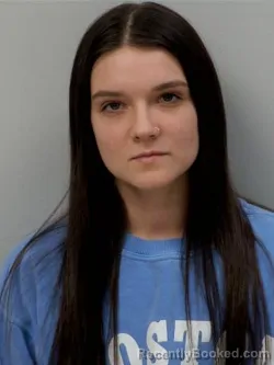 Mugshot of Shields Violet Lynn