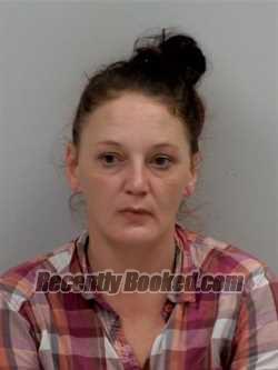 Booking photo from Chippewa County, Michigan