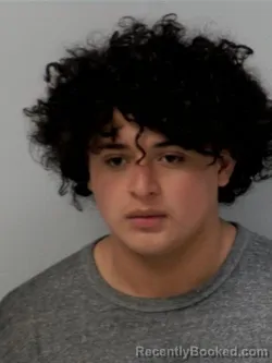 Booking photo from Chippewa County, Michigan