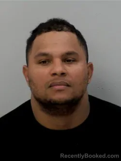 Mugshot of Villarreal-Ramirez Victor David