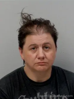 Mugshot of Laakko Sheri Elizabeth booked in Chippewa County, Michigan on March 27, 2026