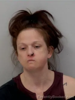 Mugshot of Higgins Erin Lin booked in Chippewa County, Michigan on March 29, 2026