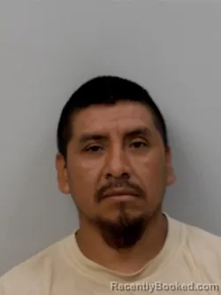 Mugshot of Mendoza Tomas Nieves Eudes booked in Chippewa County, Michigan on May 19, 2026