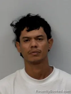 Mugshot of Sanchez Alegria Luis Alfredo booked in Chippewa County, Michigan on July 5, 2026