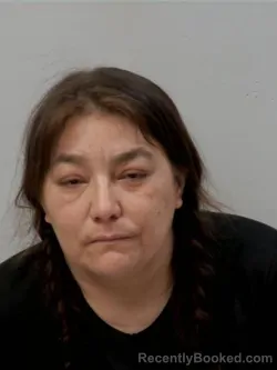 Mugshot of Peltier Drema Rose booked in Chippewa County, Michigan on March 27, 2026