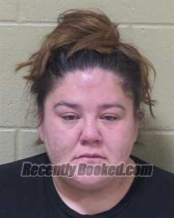 Booking photo from Delta County, Michigan