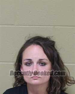 Booking photo from Delta County, Michigan