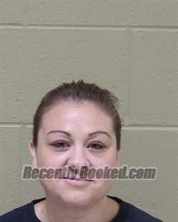 Booking photo from Delta County, Michigan