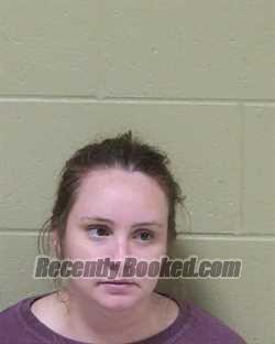 Booking photo from Delta County, Michigan