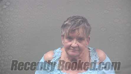 Booking photo from Dickinson County, Michigan