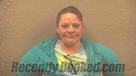 Booking photo from Dickinson County, Michigan