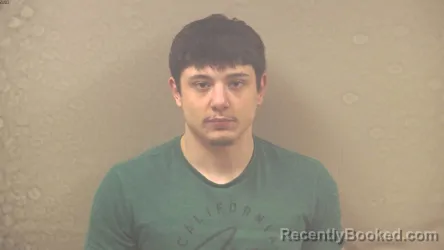 Booking photo from Dickinson County, Michigan