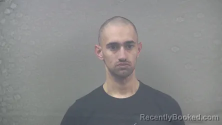 Booking photo from Dickinson County, Michigan