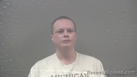 Booking photo from Dickinson County, Michigan