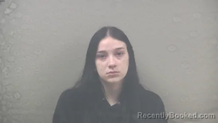 Booking photo from Dickinson County, Michigan