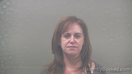 Mugshot of LISA MARIE BRISSON