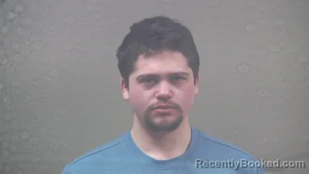 Mugshot of MICKEY DAVID MENARD