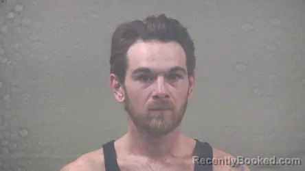 Booking photo from Dickinson County, Michigan