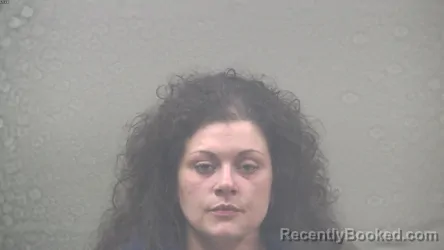 Mugshot of ANGELA JOY JOHNSON booked in Dickinson County, Michigan on March 26, 2026