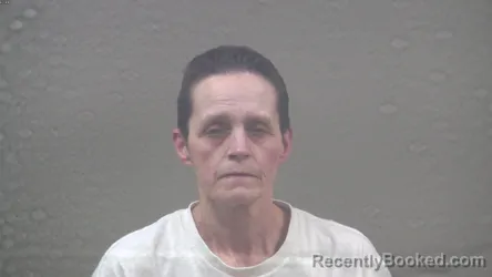 Mugshot of TINA MARIE BOZILE booked in Dickinson County, Michigan on April 2, 2026