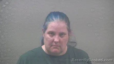 Mugshot of CHRISTINA MARIE DILL booked in Dickinson County, Michigan on April 24, 2026