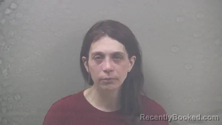 Mugshot of AMBER JUNE ST LOUIS booked in Dickinson County, Michigan on May 7, 2026