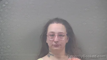 Mugshot of ALYSSA BRIANNE STEADMAN booked in Dickinson County, Michigan on May 8, 2026