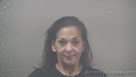 Mugshot of SANDRA LYNN PETERSON booked in Dickinson County, Michigan on May 21, 2026