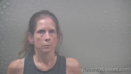 Mugshot of BRIDGETT MARIE KARUZAS booked in Dickinson County, Michigan on May 30, 2026