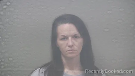 Mugshot of BRITTANY MARIE MARVIN booked in Dickinson County, Michigan on June 11, 2026