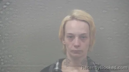 Mugshot of ANN MARIE MASSICOTTE booked in Dickinson County, Michigan on June 15, 2026