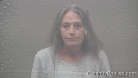 Mugshot of ANNETTE KIMBERLY HENKELMAN booked in Dickinson County, Michigan on June 27, 2026