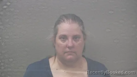 Mugshot of CHRISTINA MARIE DILL booked in Dickinson County, Michigan on July 2, 2026