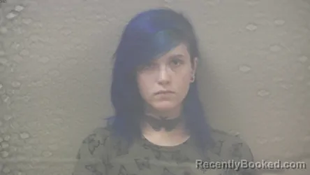 Mugshot of KAILEIGH ELIZABETH YOST booked in Dickinson County, Michigan on July 2, 2026