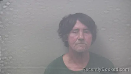 Mugshot of NORMAN LYNN MORROW booked in Dickinson County, Michigan on July 5, 2026