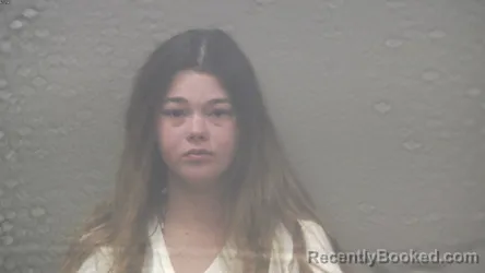 Mugshot of AVA JEAN OTTO booked in Dickinson County, Michigan on July 6, 2026