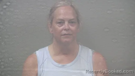 Mugshot of CATHY MARIE RIETVELD booked in Dickinson County, Michigan on July 6, 2026